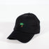 NO WORRIES PALM TREE (strapback cap)